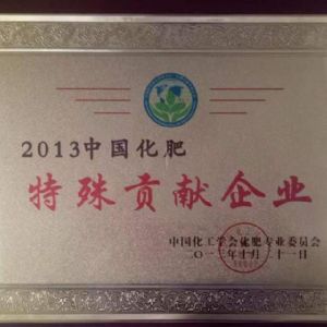 2013年中国化肥特殊贡献企业